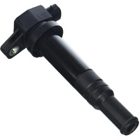 Hyundai Ignition Coil for Santa Fe 09/2006 - 09/2009