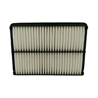 Hyundai Air Filter for iLoad & iMax 2.4L Petrol & 2.5L Turbo Diesel