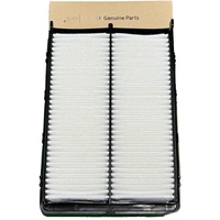 Hyundai Air Filter for Palisade 3.8L & Santa Fe 2.4L & 3.5L