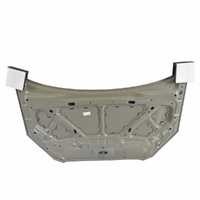 Hyundai Hood Panel Assembly