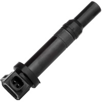 Hyundai Ignition Coil for Santa Fe 09/2006 - 09/2009