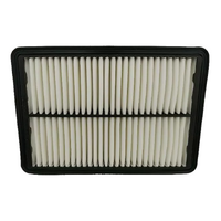 Hyundai Air Filter for iLoad & iMax 2.4L Petrol & 2.5L Turbo Diesel