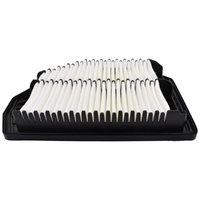 Hyundai Air Cleaner Filter for Genesis 3.8L 07/2014 - 11/2019