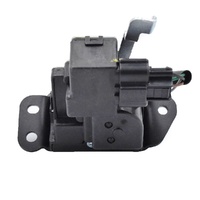 Hyundai Tailgate Latch Assembly