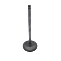 Hyundai Intake Valve image