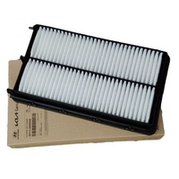 Hyundai Air Filter for Palisade & Santa Fe 2.2L Diesel image