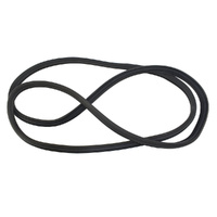 Hyundai Rear Door Body Side Weatherstrip image