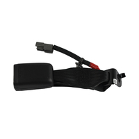 Hyundai Rear Seatbelt Center Buckle Assembly image