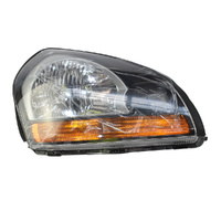 Hyundai Head Lamp Assembly Right Hand for Tucson 04 image