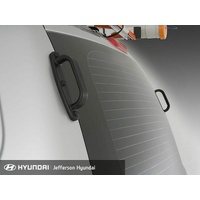 Hyundai iLoad Grab Door Handles image