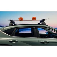 Hyundai Ski & Snowboard Carrier image