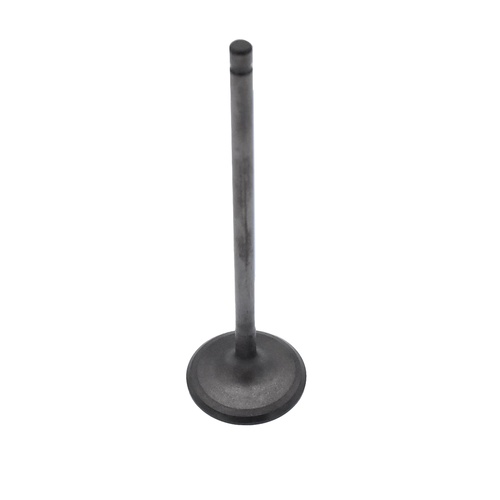Hyundai Intake Valve