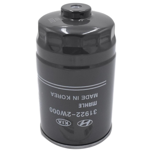 Hyundai Fuel Filter for Santa Fe 2.2L 06/2012 - 05/2015