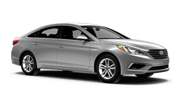 Sonata image